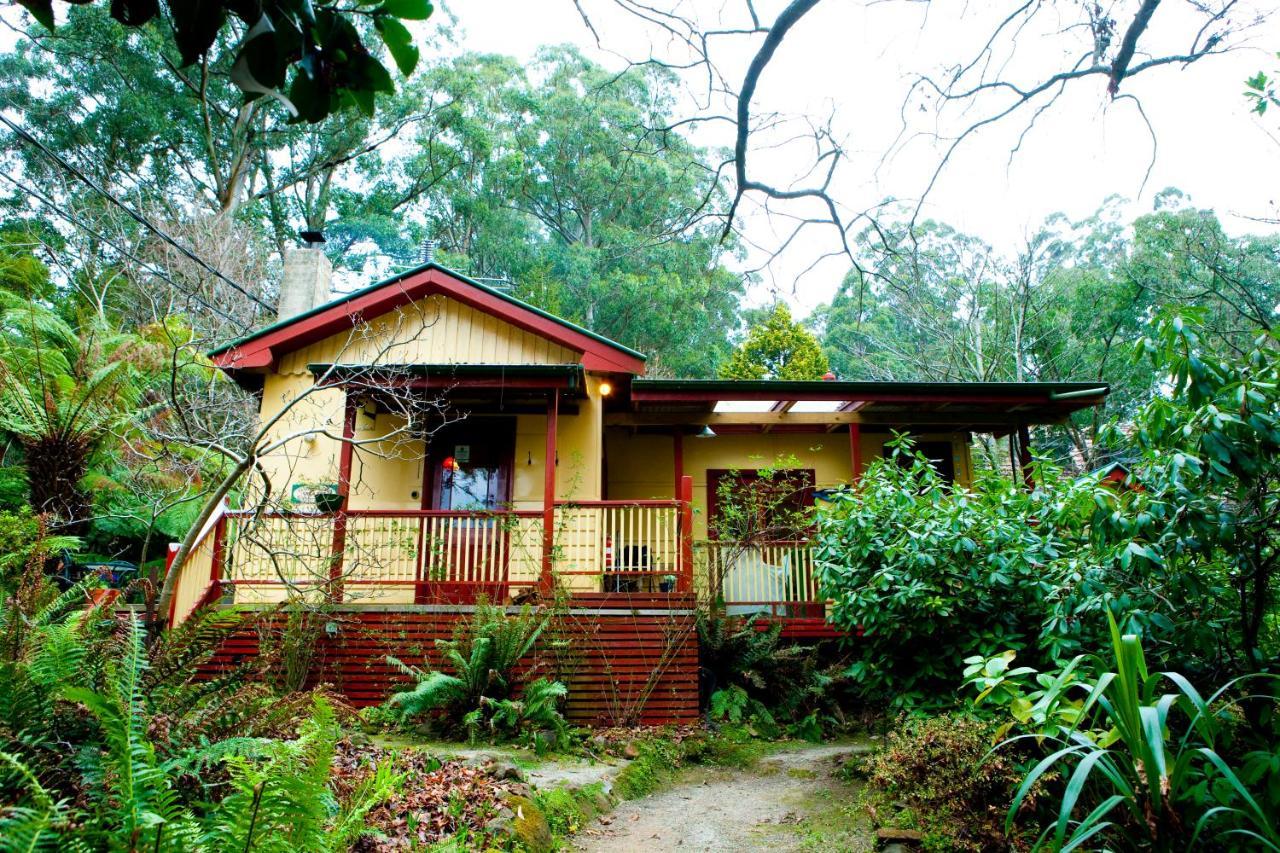 Como Cottage Accommodation Olinda Kültér fotó